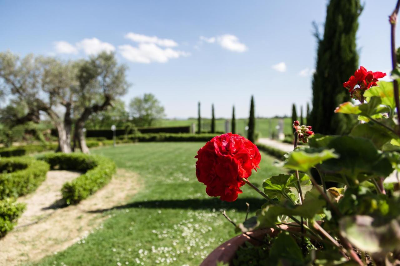 Podere San Giuseppe Castiglione del Lago Exteriör bild