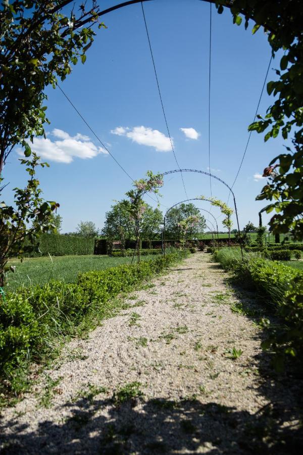 Podere San Giuseppe Castiglione del Lago Exteriör bild